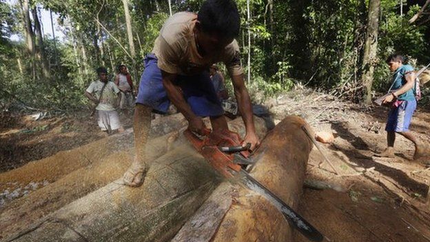 A Ka"apor Indian warrior uses a chainsaw to ruin one of the logs they found during a jungle expedition to search for and expel loggers from the Alto Turiacu Indian territory, near the Centro do Guilherme municipality in the northeast of Maranhao state in the Amazon basin, August 7
