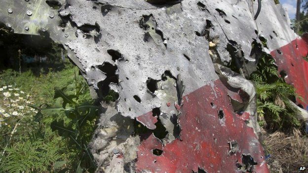 A piece of the crashed Malaysia Airlines plane in eastern Ukraine - 23 July 2014
