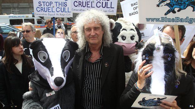 Cull protesters