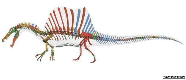 Reconstruction of Spinosaurus