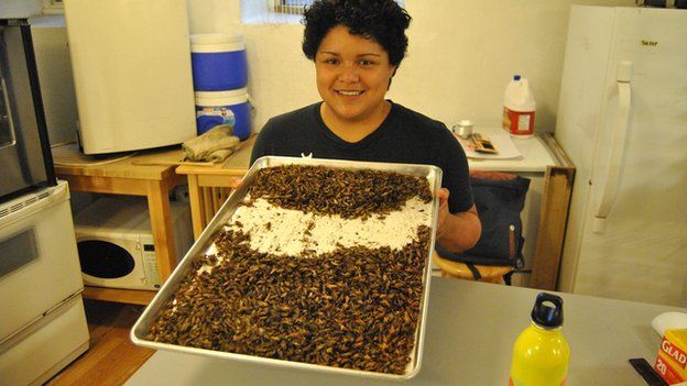 Natalia Martinez holding a tray of crickets