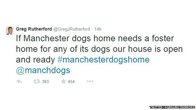 Tweet offering dogs a home