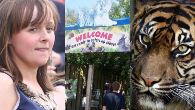 Sarah McClay, Zoo Safari, Sumatran Tiger