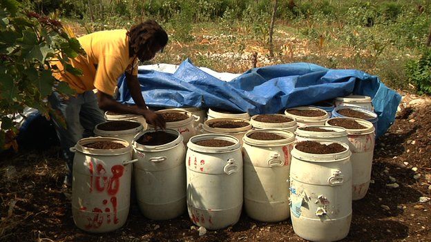 Human waste mixed with organic material from sugar cane