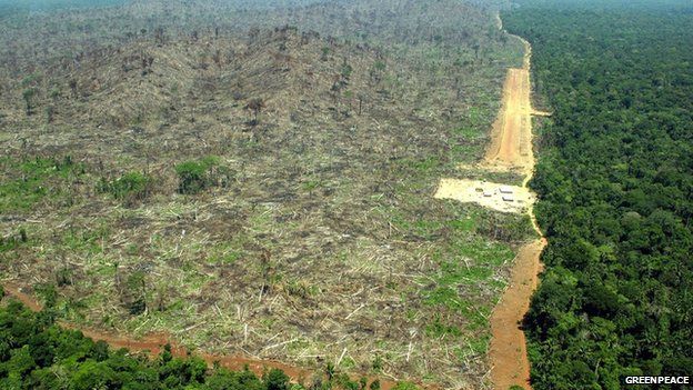 Para State, Brazil deforestation 2004