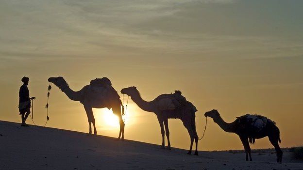 Caravan departs Timbuktu, Mali, at dusk - 2006