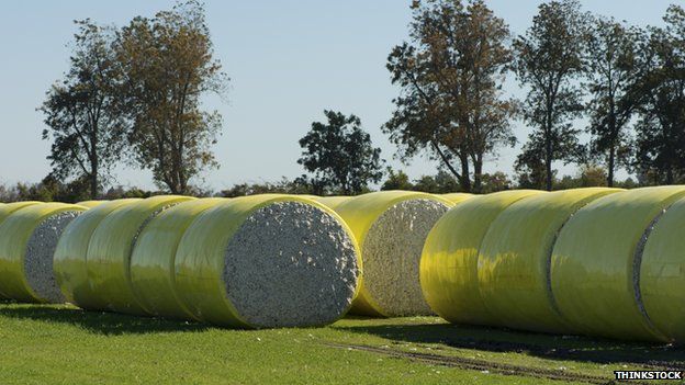 Cotton bales