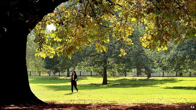 A woman walks through London's Hyde Park, bathed in sunlight