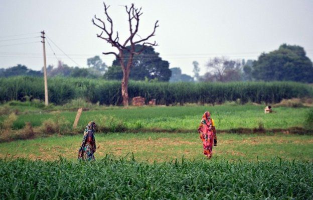 Indian residents arrive to defecate in an open field in a village in the Badaun district of Uttar Pradesh.