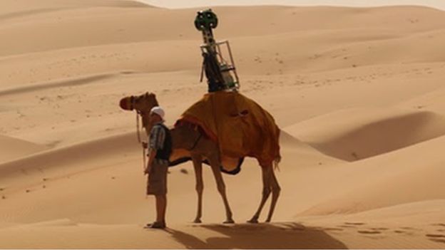 Camel wearing Google Street View camera