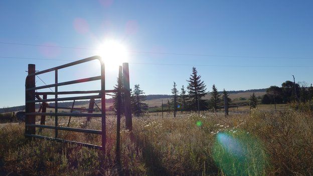 Goaty Girl farm