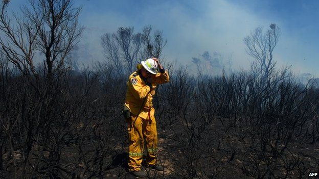 A volunteer firefighter surveys the damage in the Mt York fire area in the Blue Mountains, roughly 150km west of Sydney, on 23 October, 2013