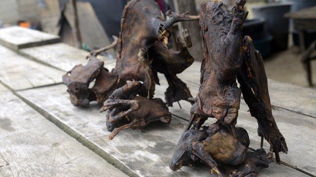 Dried bushmeat, at a market in Lagos.