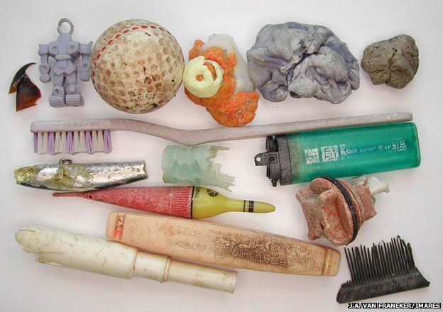 Plastic objects found in albatross chick carcasses include a toothbrush, cigarette lighters, floaters from fish nets, toys and a tampon applicator