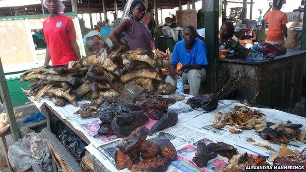 A bushmeat vendor in the Cantoments Market in Accra, selling grasscutters, bats, fish, antelope and more