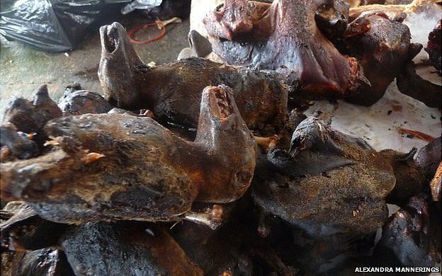 Smoked bat carcasses for sale in Ghana