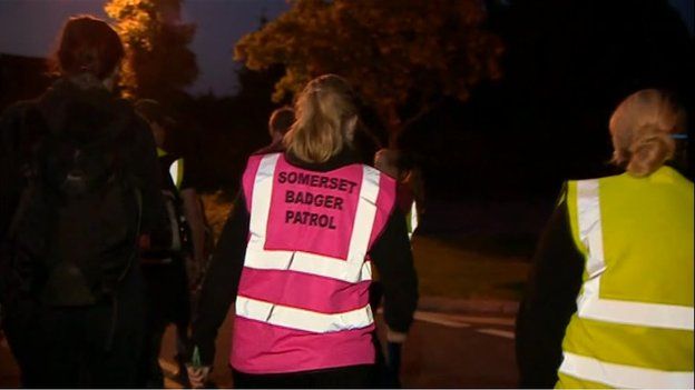 Campaigners against the badger cull on patrol