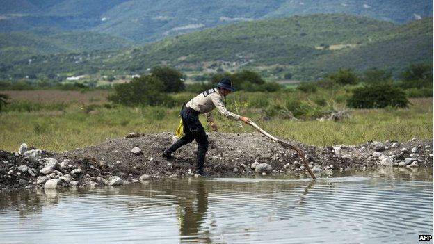 A man takes part in the search for the missing students on the outskirts of Cocula on 19 October, 2014