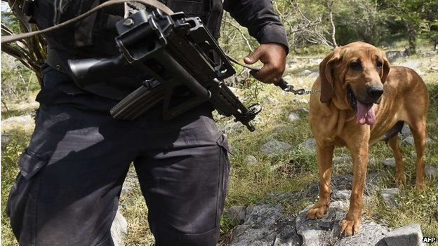 A member of the Mexican Gendarmerie is seen with a dog on the outskirts of Cocula on 19 October, 2014,