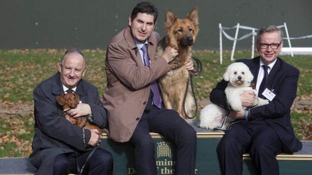 Westminster dog show winners