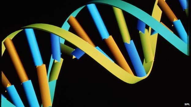 DNA molecule computer artwork