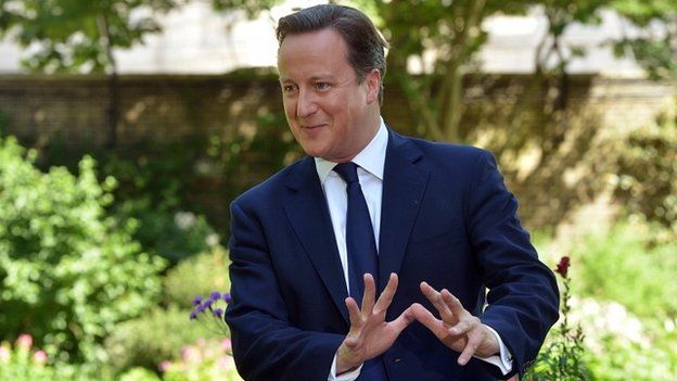 David Cameron in the Downing Street garden