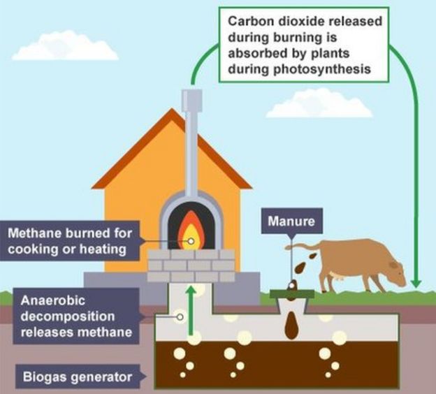 'Mechanical cow' to be built near Sleaford BBC News
