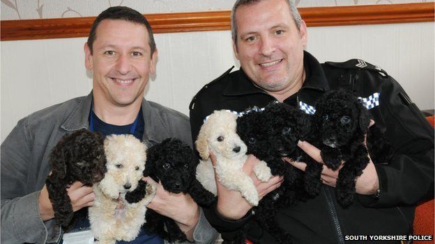 Det Insp Paul Dickinson and Sgt Stuart Rowse with the Poochon puppies