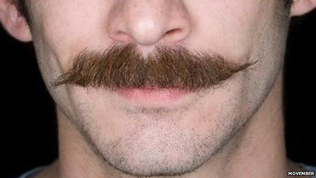 A moustache grown for Movember