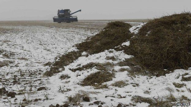A combine harvester is seen on a wheat field in north Kazakhstan