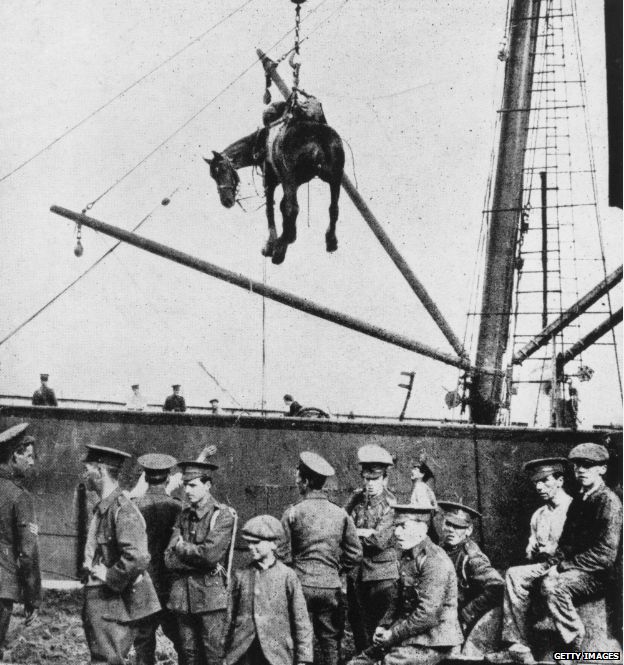 A horse is landed from a British military transport ship at Boulogne, France, during World War I