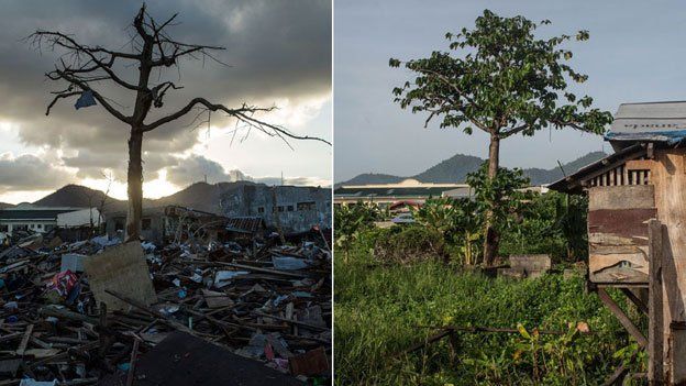Magallanes district, Tacloban, after Typhoon Haiyan and now