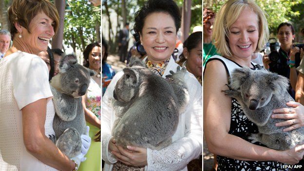 Australian first lady Margie Abbott, China's first lady Peng Liyuan and Canada's first lady Laureen Harper holding koalas at a koala sanctuary in Brisbane on 15 November 2015