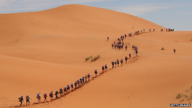 Marathon des sables runners snake across the sands in 2009
