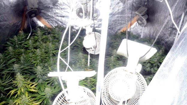 Cannabis found in Castlewellan
