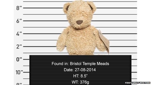 Missing Teddy