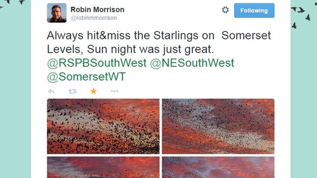 Robin Morrison's Tweet