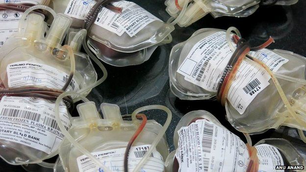 Donated blood bags at the Rotary Blood Bank