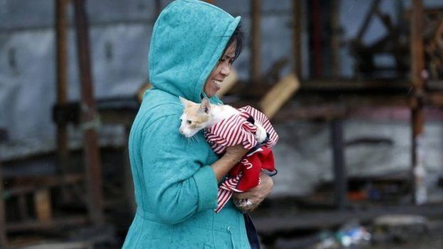 Girl rescues cat in Tacloban city, Leyte island (6 Dec 2014)