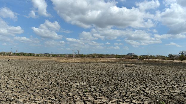 A dried up irrigation reservoir in the Yala national park in Sri Lanka - 11 September 2014