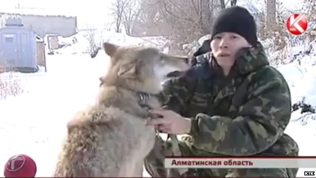 Nurseit Zhylkyshybay and his wolf
