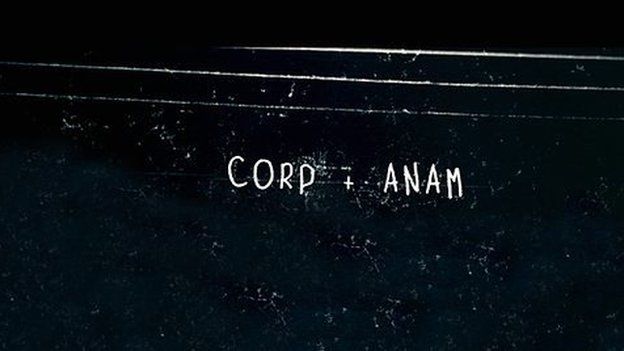 Corp & Anam