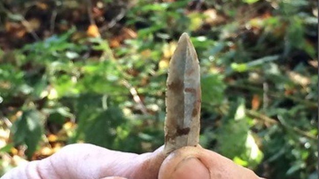 Flint found at Blick Mead