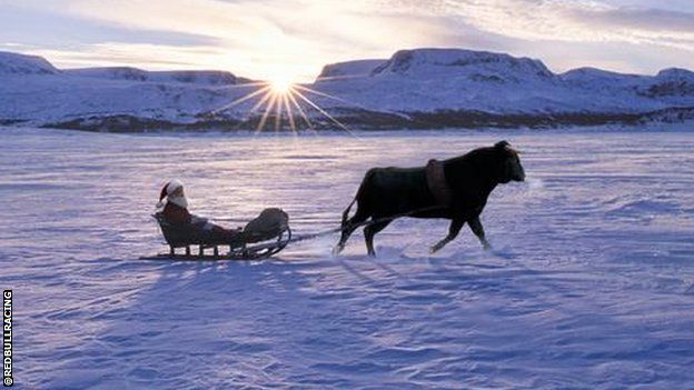 Red Bull santas sleigh