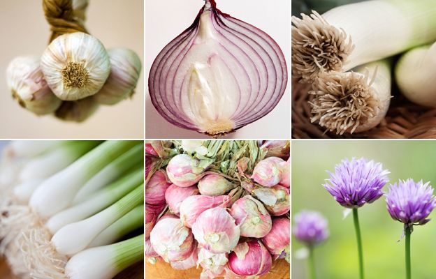 From top left, clockwise: garlic, red onion, leeks, chives, shallots, spring onions