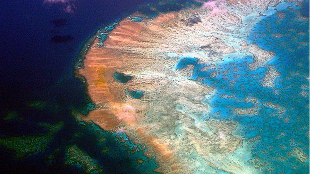 Protecting Great Barrier Reef 'needs A$785m' fund - BBC News