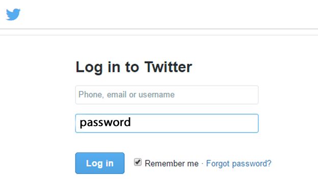 The word password used as login password