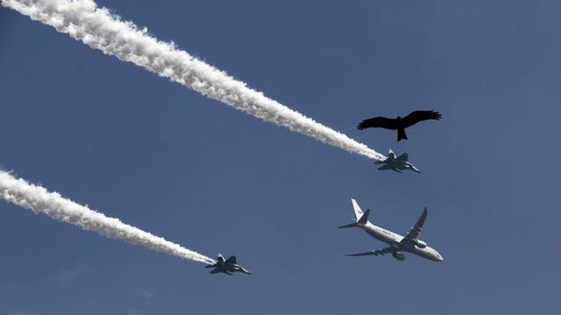 An eagle flies amid contrails from the Indian Air Force aircrafts during a full dress rehearsal for the Republic Day parade in New Delhi January 23, 2015
