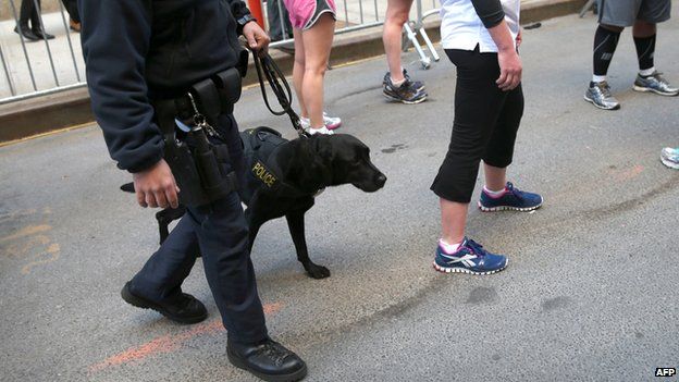 File photo of a member of K-9 squad on duty in New York on April 21, 2013