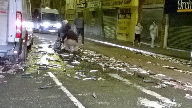 Fish spill on Ravenhill Road, east Belfast